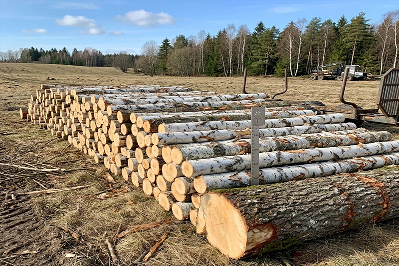Brezovi hlodi – pol tovornjaka 22,5 m³ (22,5 prm)